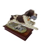 Albany Fine China Company Ltd., England - a limited edition china model of a springer spaniel