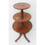 An early 19th century George IV Regency period three-tier circular mahogany dumb-waiter: turned