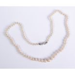 A mid-century graduated cultured pearl single strand necklace with diamond set clasp: the pearls