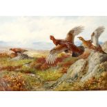 After ARCHIBALD THORBURN - A single and a pair of prints: 1. 'Spring' - signed in pencil and with