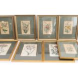 A selection of various framed and glazed (later) hand-coloured botanical engravings including