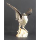 A hand-decorated Spode Fine Bone China model of an open-winged Osprey (Pandion Haliaetus), printed