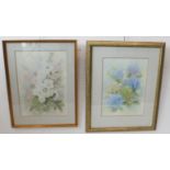 Two signed still lives in watercolour: 1. D. SCAMMELL - 'Hydrangeas' (46.5 x 33.5 cm). (Frame size