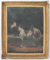 M* T* Portrait of a dapple-grey thoroughbred horse standing in a landscape wearing a double-