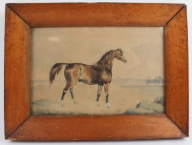 A 19th century watercolour study of a bay hunter standing four-square: initialled and dated lower
