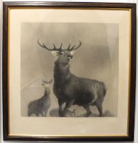 After Edwin Henry Landseer (British, b.1802-d.1873) 'The King of the Forest' lithograph, oak frame