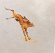 Rosie Lippett (contemporary) 'Leaping Hare' signed (l/r) a large unframed oil on canvas (102 cm