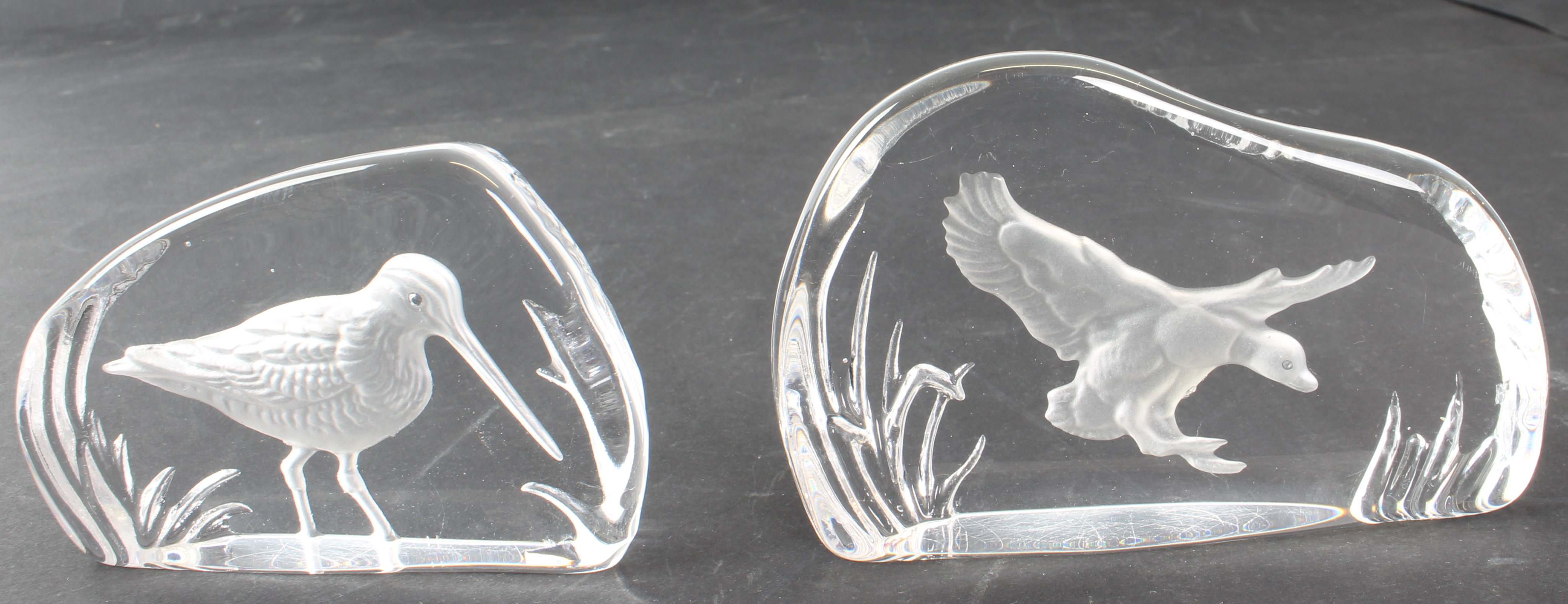 Twelve Wedgwood Crystal intaglio clear-glass bird paperweights - all with etched factory marks; - Image 21 of 26