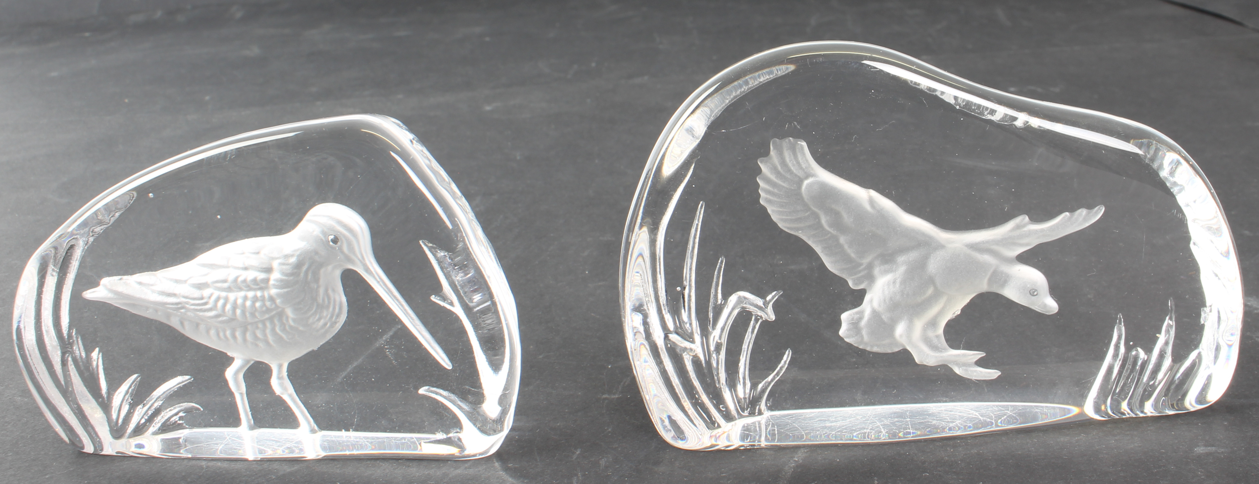 Twelve Wedgwood Crystal intaglio clear-glass bird paperweights - all with etched factory marks; - Image 7 of 26