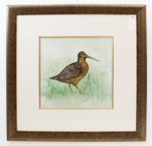 British School (contemporary) Study of a woodcock watercolour, signed indistinctly lower right,
