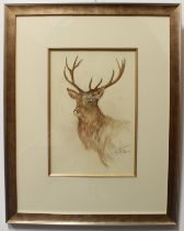 British School (contemporary) Portrait of a stag; Portrait of a hare watercolour and pastel;