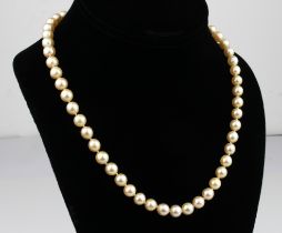 A single strand cultured pearl necklace - with 7mm. pearls and hallmarked 9ct gold bright cut clasp,