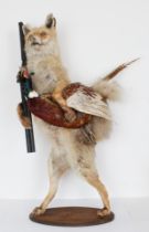 Taxidermy - an anthropomorphic fox 'sportsman' standing on his hind legs and holding a cock pheasant