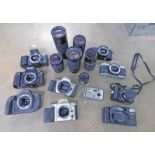 230-AF CAMERA WITHOUT LENS, CANON EOS 600 CAMERA WITHOUT LENS, NIKON F50 CAMERA WITHOUT LENS,