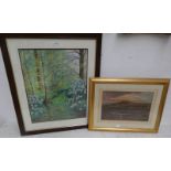 ANNE TEE FRAMED PASTEL GLAMIS BURN IN JUNE SIGNED 62CM X 51CM FRAMED WATERCOLOUR DARTMOOR SIGNED W.