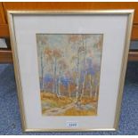 SAM POPE SILVER BIRCHES SIGNED GILT FRAMED WATERCOLOUR 23 X 16 CM Condition Report: