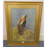 DONALD BIRKBECK IMPERIAL EAGLE SIGNED FRAMED WATER COLOUR 36 X 54 CM