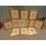 VARIOUS FRAMED PRINTS OF DIFFERENT FLOWERS INCLUDING; ELIZABETH CAMERON,