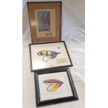 FRAMED LADY AMHERST FLY PRINT WITH FISHING FLY AND ORIGINAL FORREST & SONS, PAPER CASE,
