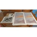 LARGE QUANTITY OF IRENE HALLIDAY UNFRAMED PRINTS & VARIOUS OTHER DRAWINGS,