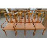 SET OF 8 MAHOGANY DINING CHAIRS ON SABRE SUPPORTS INCLUDING 2 ARMCHAIRS