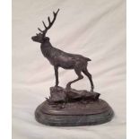 BRONZE FIGURE OF A STAG ON A ROCKY OUTCROP ON MARBLE PLINTH 39 CM TALL