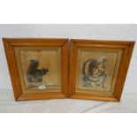 PAIR OF 19TH CENTURY BIRDS EYE MAPLE FRAMED SILKWORK PICTURES OF A SQUIRREL AND MONKEY 25.5 CM X 21.