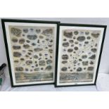 DAVID ELEY, 2 FRAMED LIMITED EDITION PRINTS, RIVER DEE 184/500 & RIVER SPEY 147/500, 64 X 44.