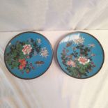 PAIR OF LATE 19TH/EARLY 20TH CENTURY CLOISONNE PLATES WITH FLORAL PATTERN,