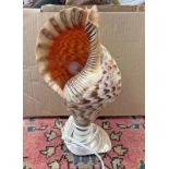 CONCH SHELL TABLE LAMP WITH PEARLISED TROCHUS SHELL BASE,