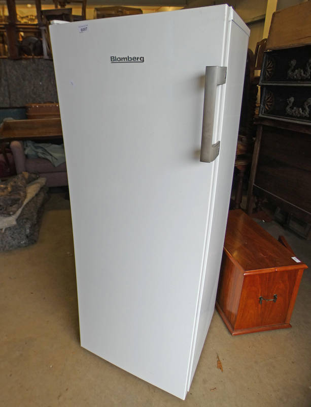 BLOMBERG FREEZER (WITH 5 SHELVES)