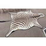 ZEBRA SKIN RUG WITH JONAS BROTHERS LTD RECEIPTS 280CM LONG