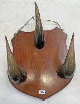 3 BISON HORNS MOUNTED ON A WOODEN WALL SHIELD,