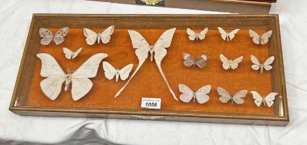 FRAMED GLAZED ENTOMOLOGY DISPLAY CONSISTING OF 15 EXAMPLES TO INCLUDE TIGER MOTHS, EMPEROR MOTH ETC.