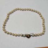 CULTURED PEARL NECKLACE WITH YELLOW METAL PEARL SET CLASP, LARGEST PEARL 7.