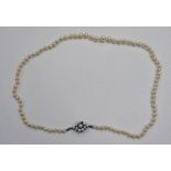 CULTURED PEARL NECKLACE ON 9CT GOLD PEARL SET CLASP 49CM