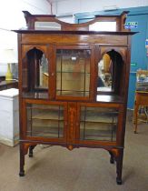 20TH CENTURY INLAID MAHOGANY DISPLAY CABINET WITH CENTRAL SET ASTRAGAL GLASS PANEL DOOR FLANKED