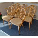 SET OF 6 ERCOL BEECH WOOD PRINCE OF WALES FEATHER BACK DINING CHAIR INCLUDING 2 ARMCHAIRS