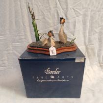 BOXED BORDER FINE ARTS COURTING GREBES