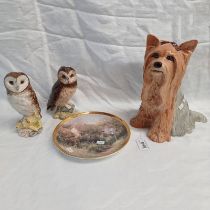 ROYAL DOULTON PORCELAIN YORKSHIRE TERRIER 26 CM TALL, ROYAL DOULTON SHORT EARED OWL,