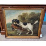 FRAMED OIL ON CANVAS OF A HUNTING DOG WITH PHEASANT UNSIGNED 62 CM X 74 CM
