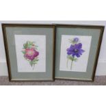 L THAIN, 2 FRAMED WATER COLOURS OF FLOWERS, BOTH SIGNED,