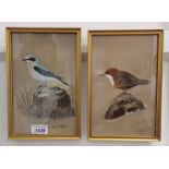 IAN T P MCINTOSH, DIPPER & COMMON WHEATEAR, BOTH SIGNED, FRAMED WATERCOLOURS, 23 X 14.