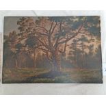 JAMES GILES WOODLAND SCENE LABEL TO REVERSE UNFRAMED 19TH CENTURY OIL ON BOARD 34 X 51 CM