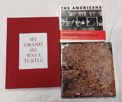 MY GRAND MA WAS A TURTLE BY CUNY JANSSEN - 2010,