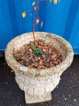 RE-CONSTITUTED STONE GARDEN PLANTER ON PLINTH BASE,