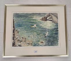 JOHN BUSBY SHETLAND GANNET COLONY SIGNED IN PENCIL FRAMED PRINT 40 X 53 CM