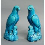 A Pair of Chinese Blue-Glazed Porcelain Parrots, Qing Dynasty, naturalistically modelled perched