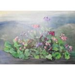 Eleanor Patricia Dyson (b.1922) Primulas in a mountainous landscape Signed, inscribed to partial