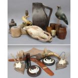 Taxidermy Related Items, including European Wild Boar Tusks (Sus scrofa), mounted on oak shields,